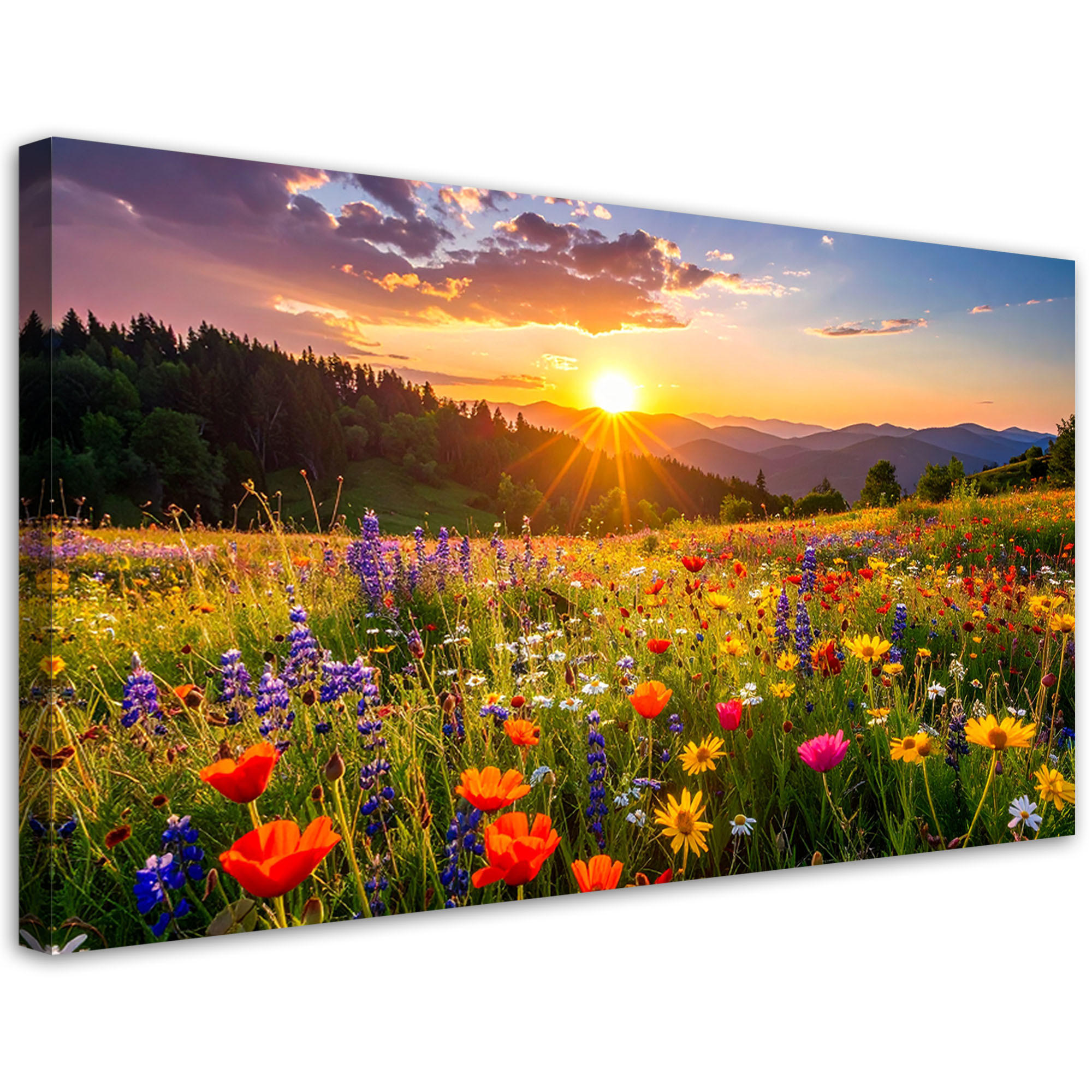 Feeby Leinwandbild Mehrfarbig 80x40 cm