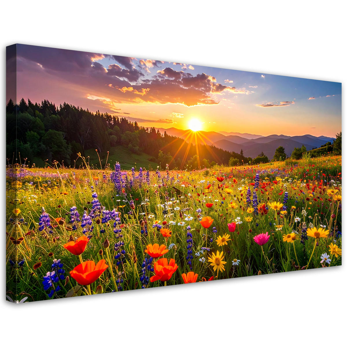 LEINWANDBILD Landschaften 80x40cm - Multicolor, Textil (80/40cm) - Feeby