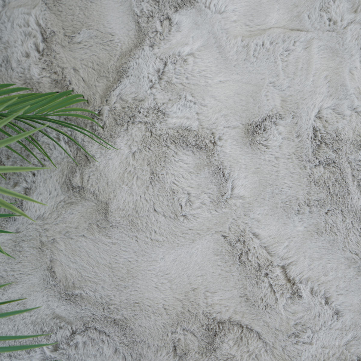 FELLTEPPICH CLOUD SUPER SOFT 240/340 cm Hellgrau - Hellgrau, Textil (240/340cm) - Consilio Concept