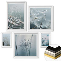 WANDBILDER 5er-Set - 50x50 cm & 20x30 cm & 40x60 cm Weißer Rahmen - Tautropfen auf Löwenzahn - Weiß, Kunststoff (40/60cm) - ArtPrintCave
