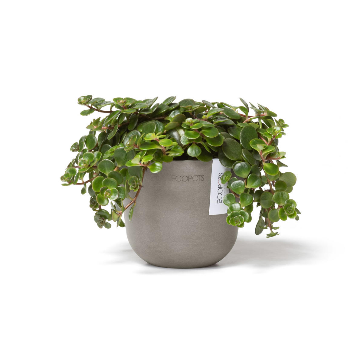 BLUMENTOPF Oslo Mini 11,4/9,5 cm Taupe - Taupe, Kunststoff (11.4/9.5cm) - Ecopots