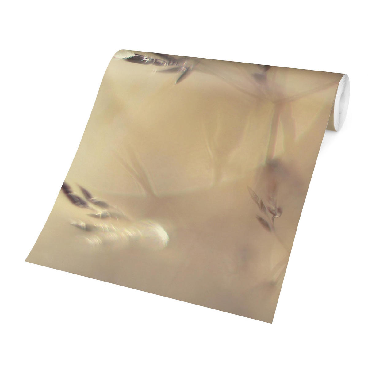 FOTOTAPETE Marienkäfer auf Wiesengras 384/255 cm - Eichefarben, Papier (384/255cm) - Bilderwelten