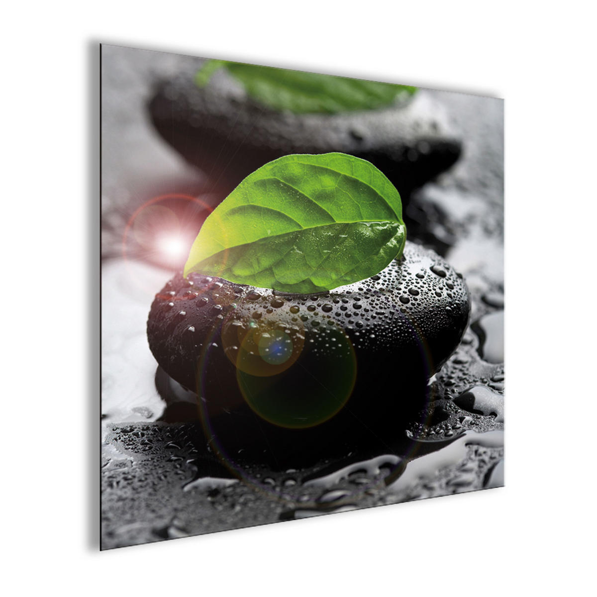 GLASBILD 30×30 cm Zen Blatt grün schwarz - Anthrazit, Glas (30/30cm) - artissimo