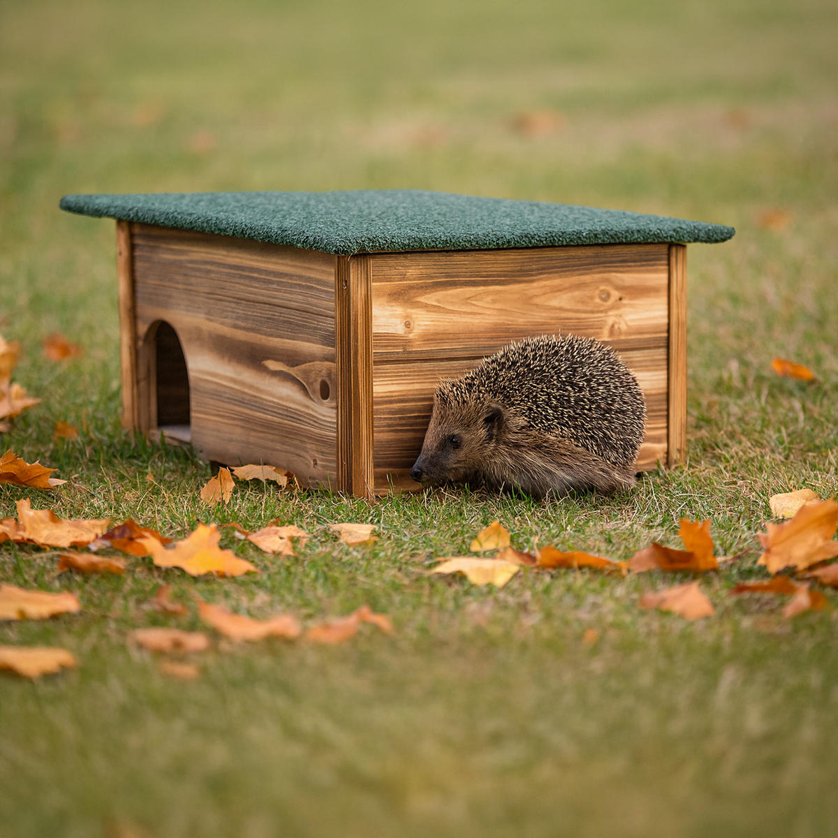 DOMEK opálený pro ježky jedlové dřevo bitumenová střecha 25 cm - hnědá, dřevo/papír (57/25/44cm) - Relaxdays