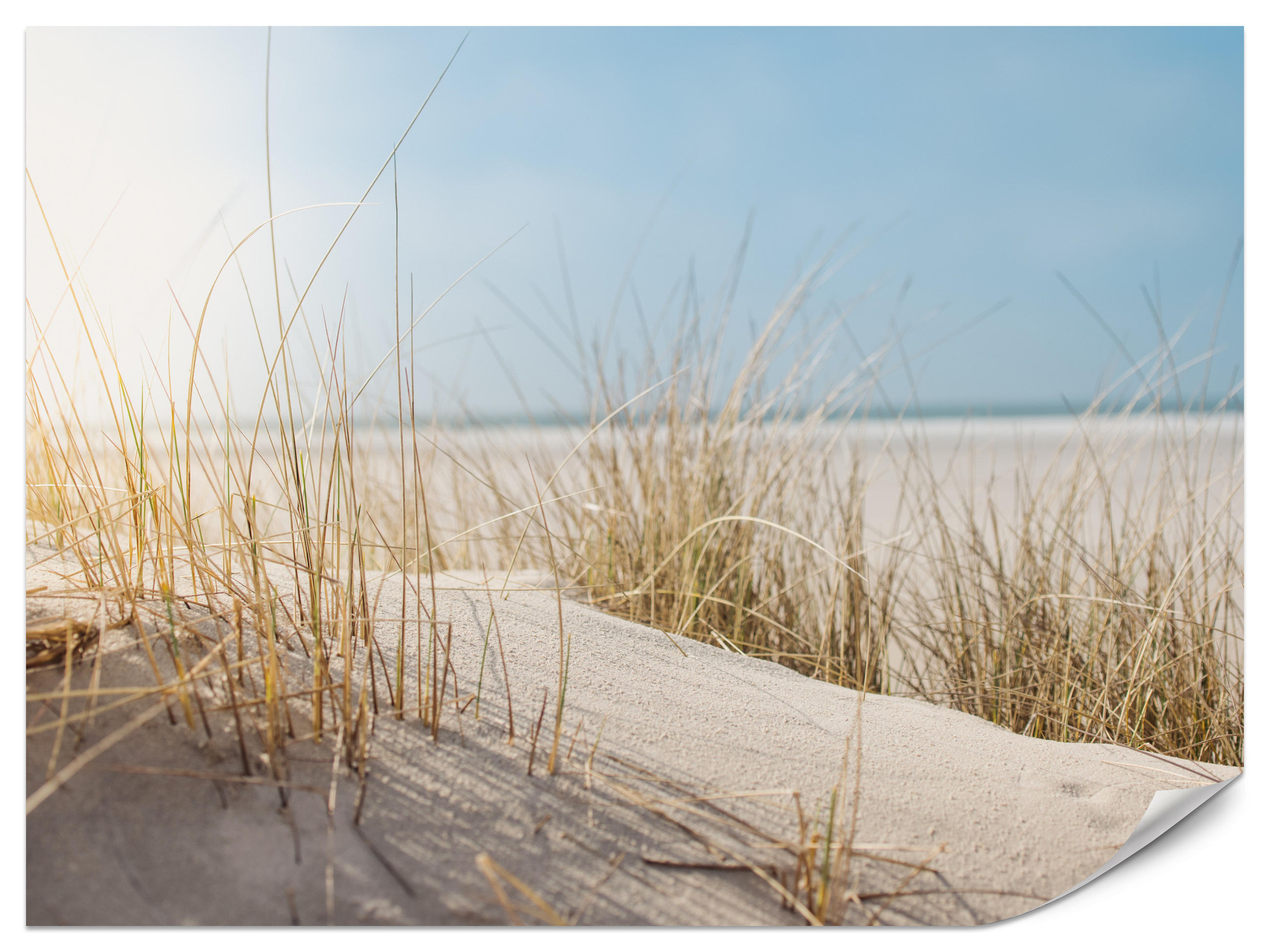 FOTOTAPETA Pre Spálňu Duny Piesočná Pláž Tráva Výhľad Na More 150 x 105 cm - modrá/žltá, papier (150/105cm) - Muralo