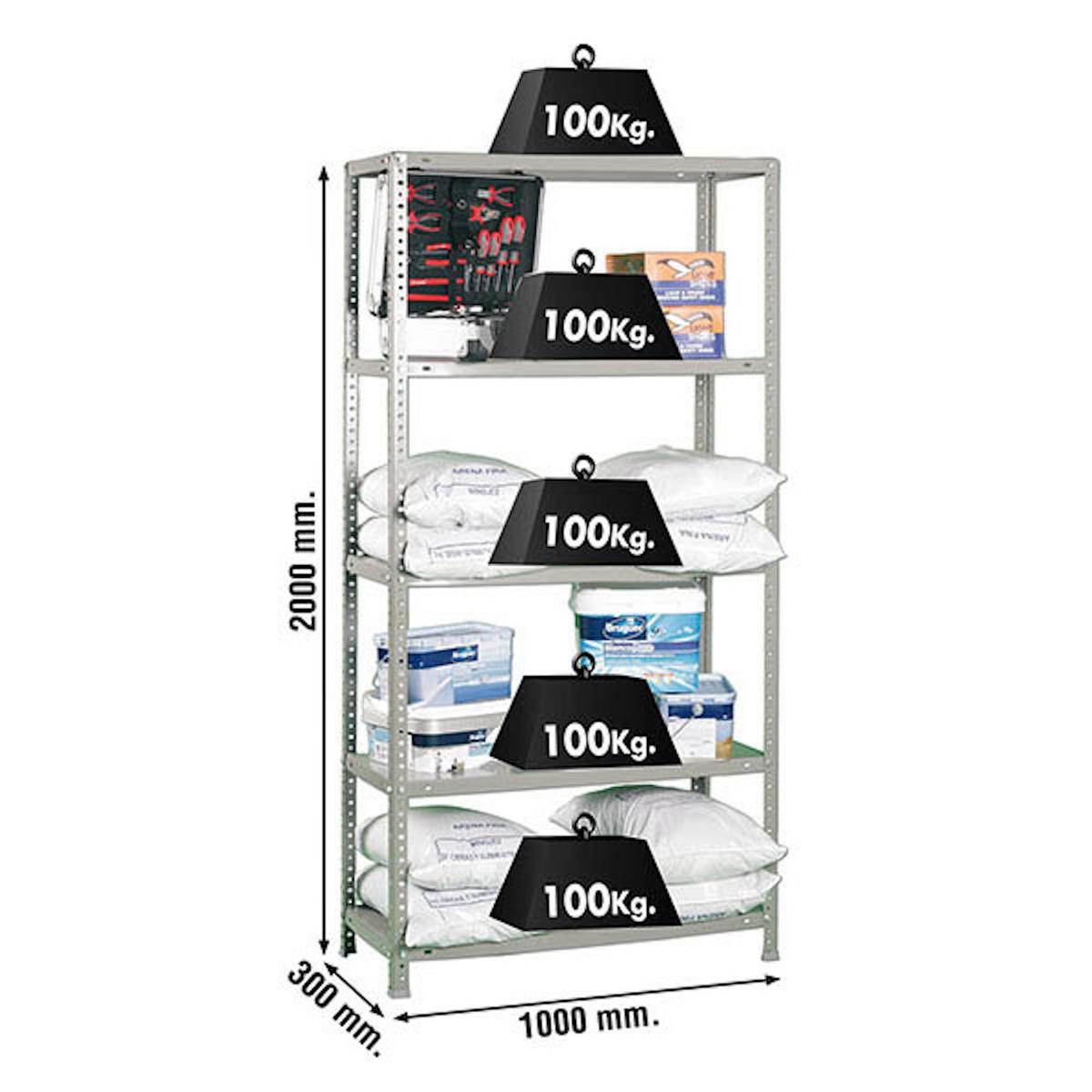 SCHRAUBREGAL PANDA TALL | HxBxT 200x100x30cm | 5 Fachböden | Fachlast 100kg | Grau - Grau, Metall (100/200/30cm) - PROREGAL