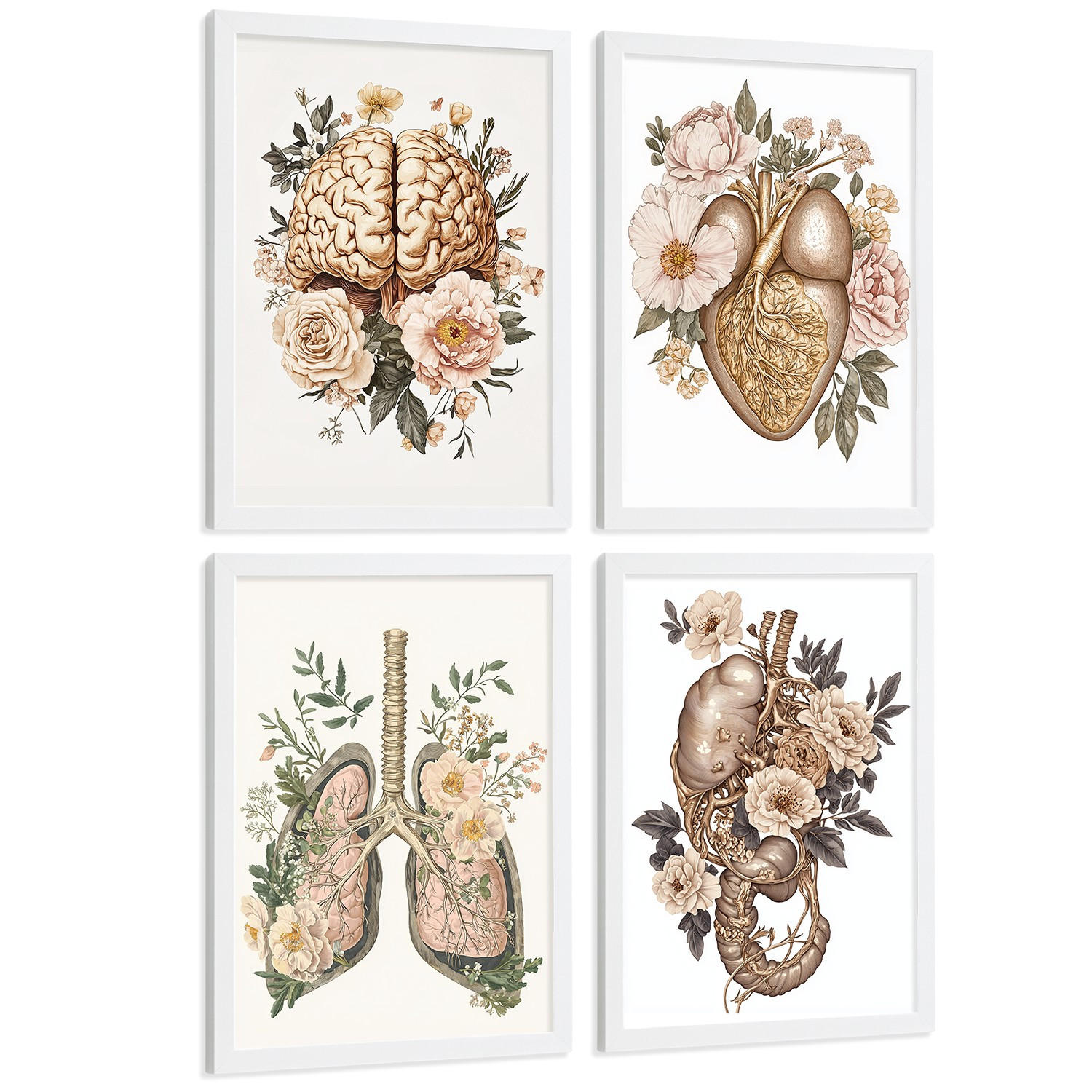 POSTER Set aus 4 Vintage Körper Anatomie Drucke mit Gehirn Herz Lungen Luftröhre Bronchien Nieren Verdauungssystem Magen Darm Größe Weißer Rahmen A3 - Weiß, Papier (29.7/42/3cm) - Nacnic