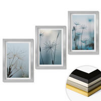 WANDBILDER 3er Set - 20x30 cm Silberner Rahmen - Löwenzahn mit Wassertropfen - Silberfarben, Kunststoff (20/30cm) - ArtPrintCave