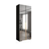 DREHTÜRENSCHRANK 236.7/100/47 2-türig - Goldfarben/Schwarz, Holz/Metall (100/236.7/47cm) - Abiks Möbel