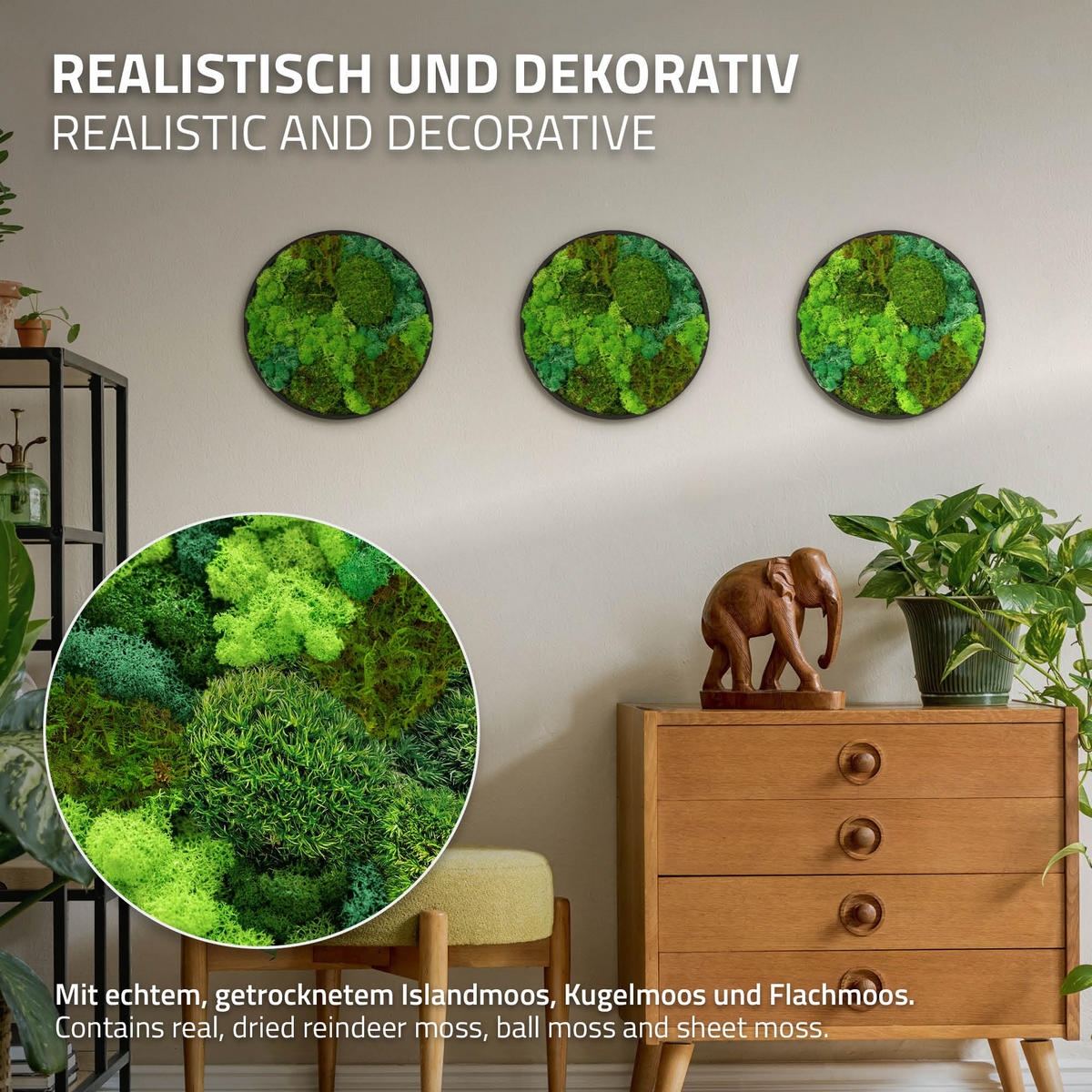 MOOSBILD Rund Ø 30 cm Mooswand Indoor mit echtem Kugelmoos-Islandmoos-Flachmoos-Mix und Holzrahmen Grün - Waldgrün, Naturmaterialien (30/30/3cm) - ECD-Germany