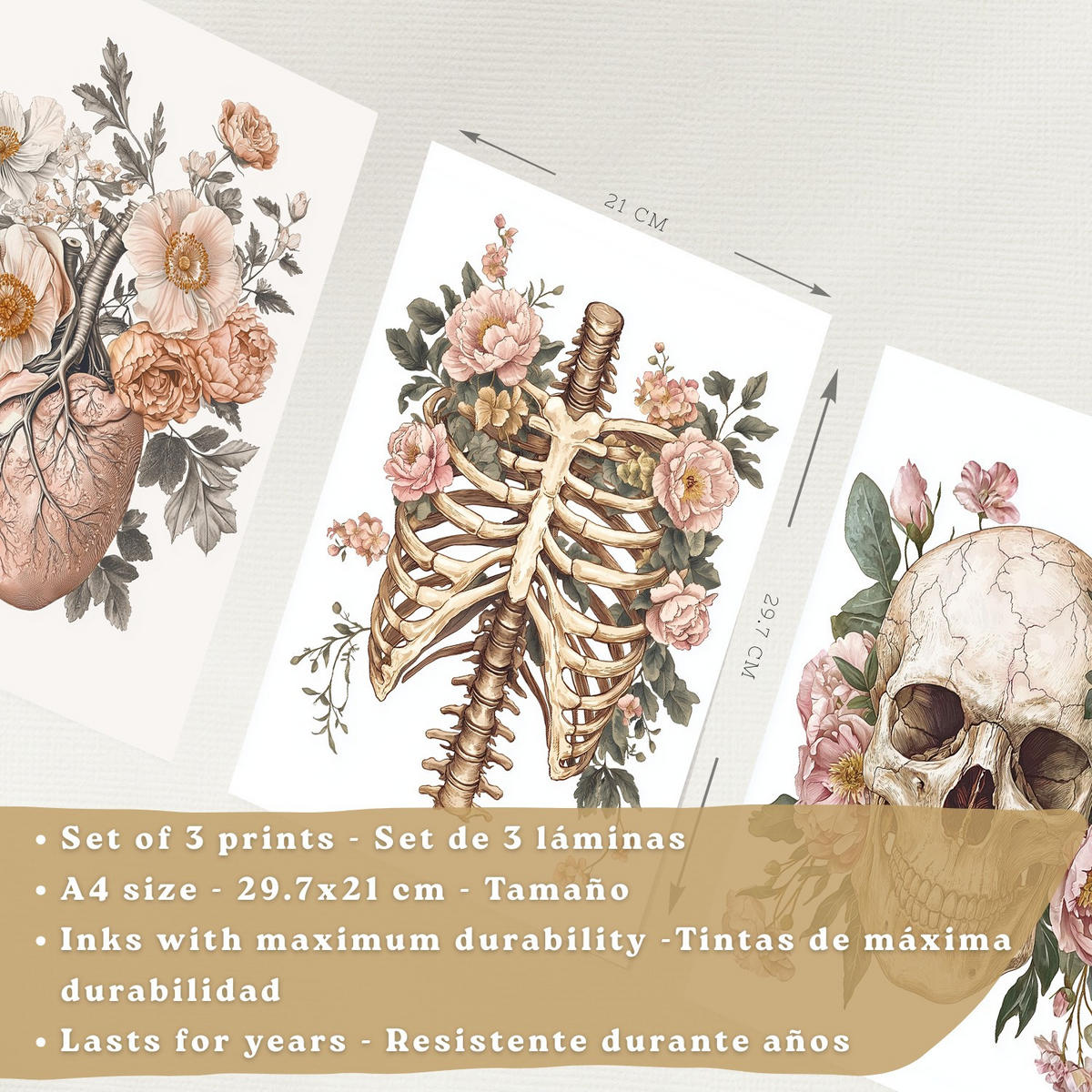 POSTER Set aus 3 Anatomie Mensch Florale Drucke und Wandbilder mit Herz Schädel und Brustkorb Weicher Vintage Stil Größe Schwarzer Rahmen A4 - Schwarz, Papier (21/29.7/3cm) - Nacnic