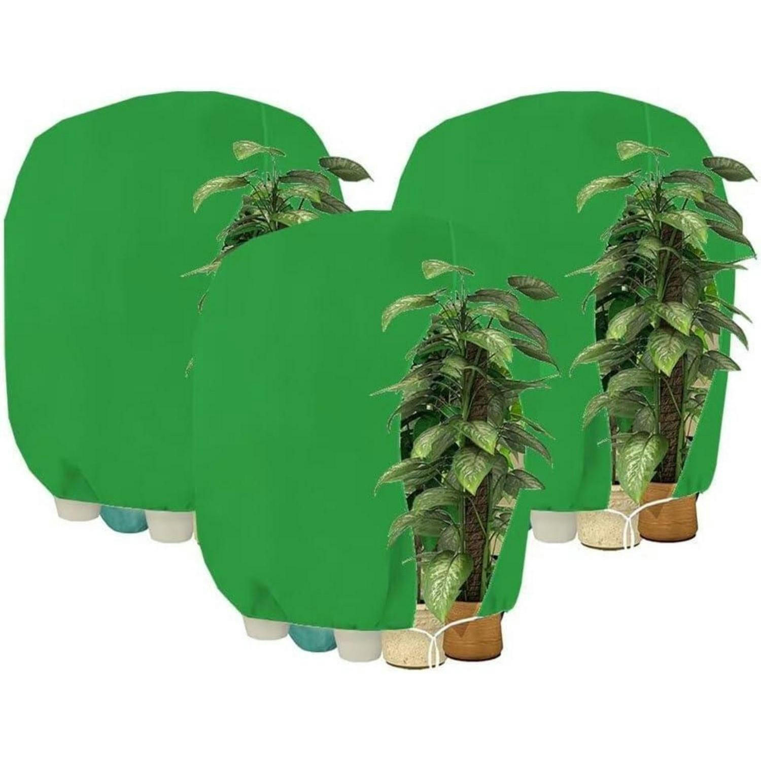 XXXLutz Pflanzenschutzhaube Grün 160x1x240 cm