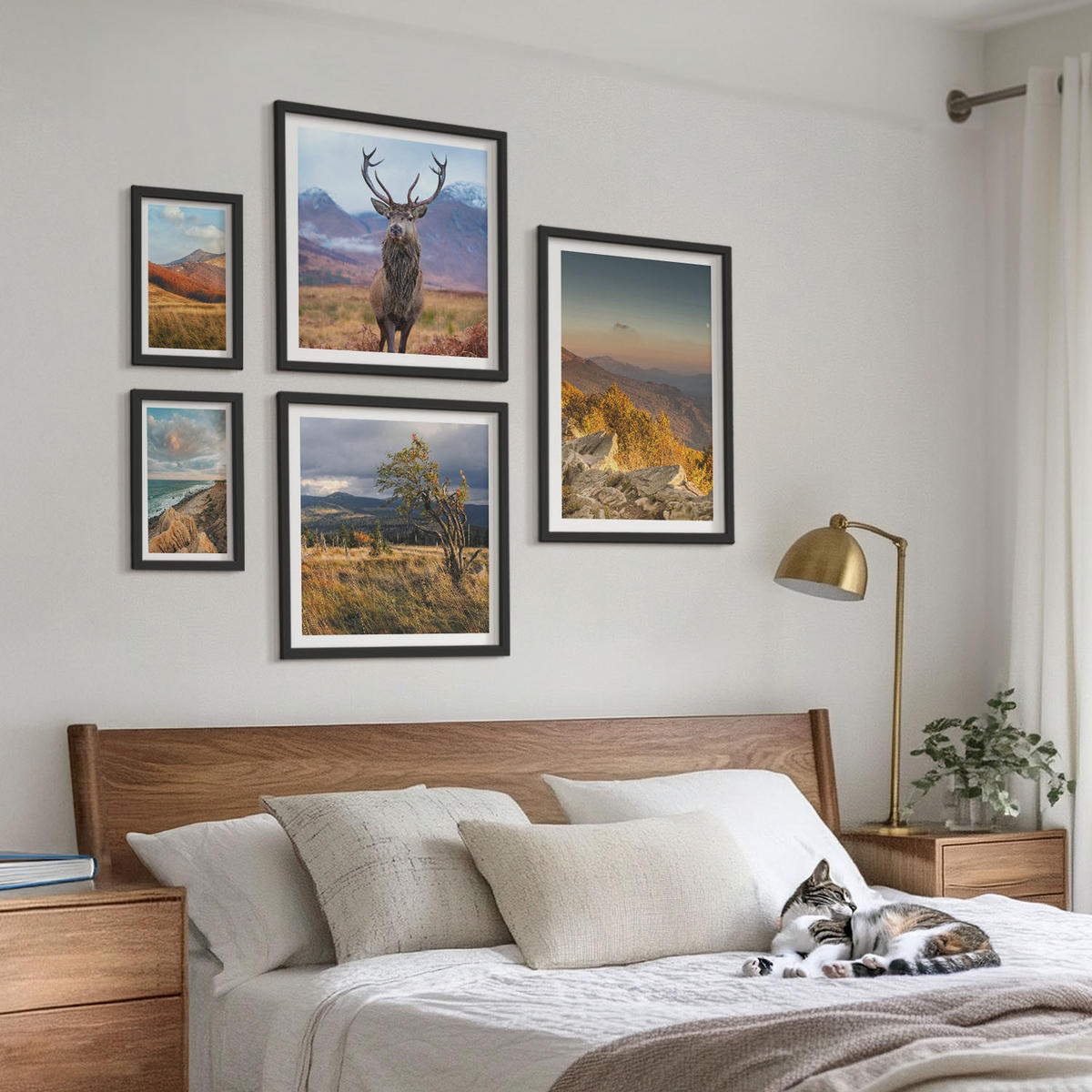 WANDBILDER 5er-Set - 50x50 cm & 20x30 cm & 40x60 cm Schwarzer Rahmen - Berglandschaften, Hirschgras - Schwarz, Kunststoff (40/60cm) - ArtPrintCave