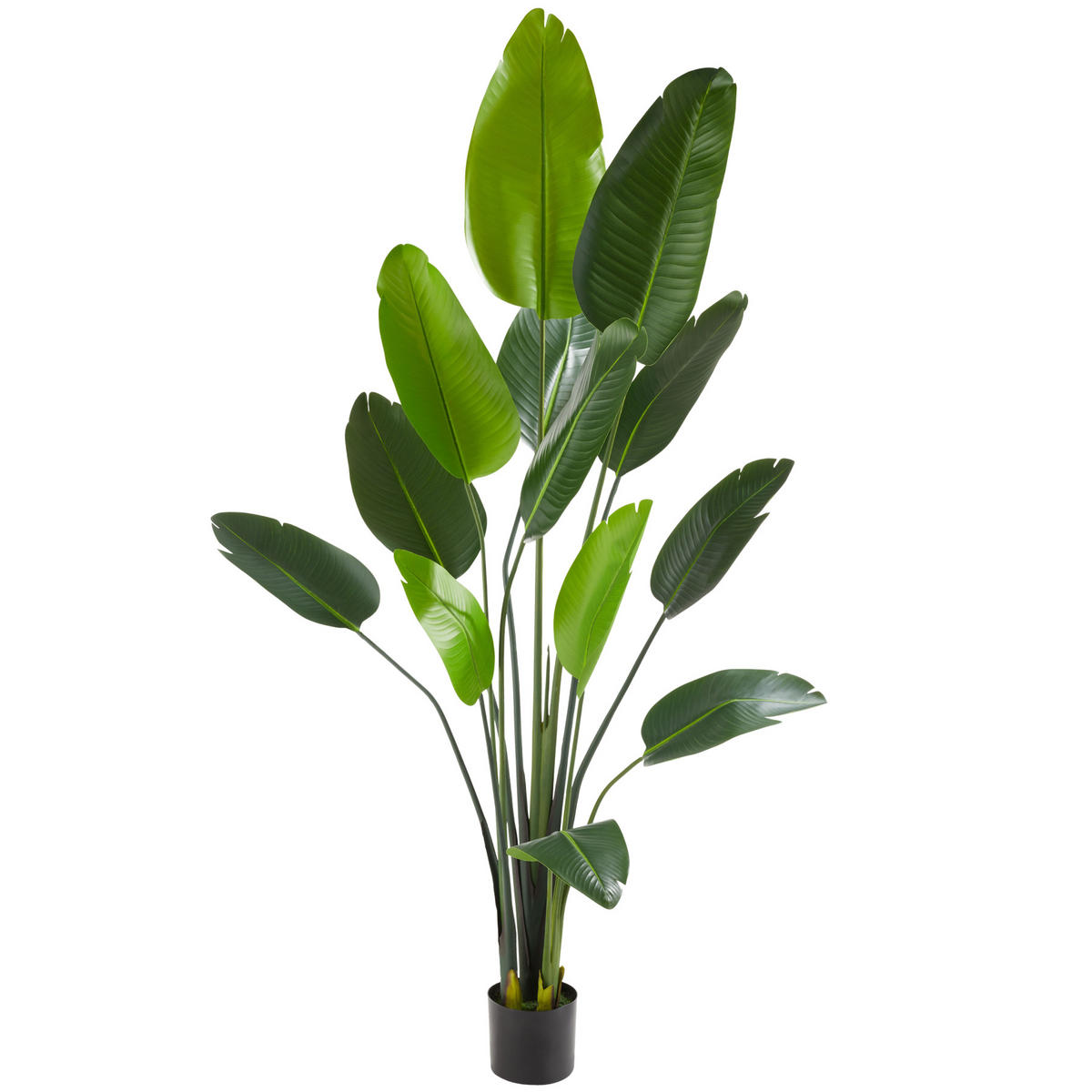 KÜNSTLICHER-PARADIESVOGELBAUM Tropic,stabiler Kunststoff-Blumentopf,grün - Grün, Kunststoff (180cm) - tectake