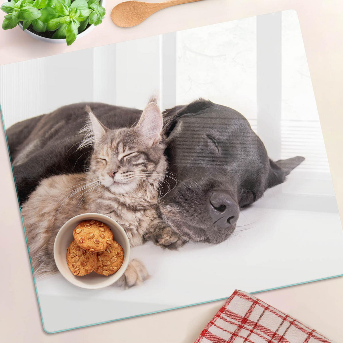 GLASPLATTE 60x52 cm Hund und Katze - Orange/Weiß, Glas (60/52cm) - TULUP