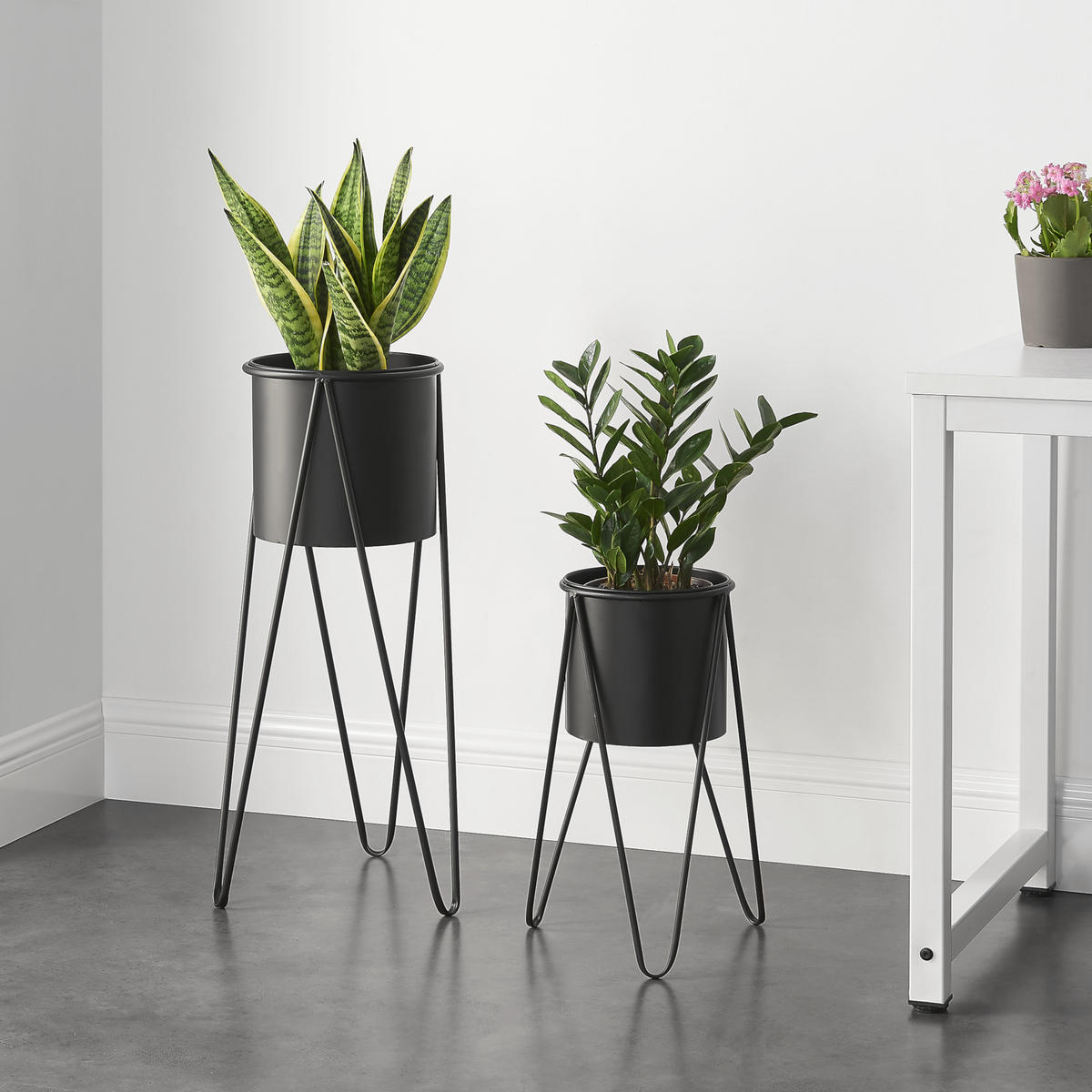 PFLANZSTÄNDER-SET 2 TLG. Hedera - Schwarz, Metall (32/70.5/32cm) - [en.casa]