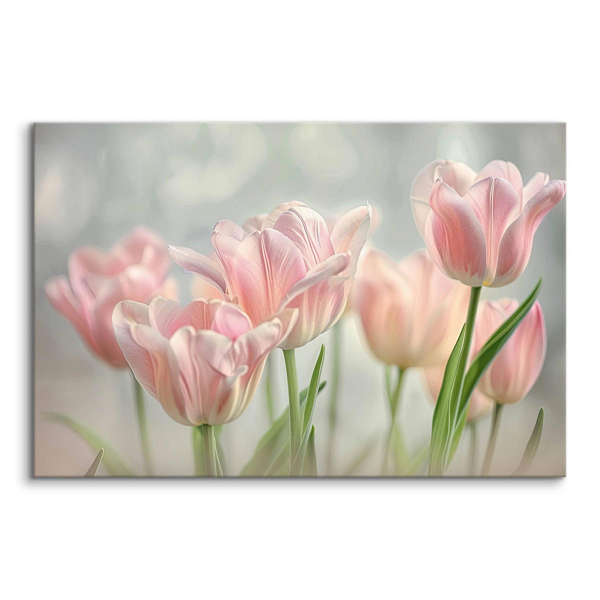 LEINWANDBILD für Wohnzimmer Blumen Tulpen Blätter Natur 120cm x 80cm - Weiß/Rosa, Textil (120/80cm) - Muralo