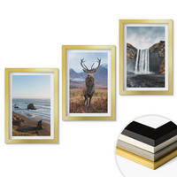 WANDBILDER 3er Set - 20x30 cm Goldrahmen - Berglandschaften mit einem Wasserfall - Goldfarben, Kunststoff (20/30cm) - ArtPrintCave