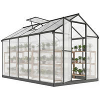 GEWÄCHSHAUS Transparent mit verstellbaren Fenstern 303x183x195 cm - Transparent, Kunststoff (303/195/183cm) - PANGIVO
