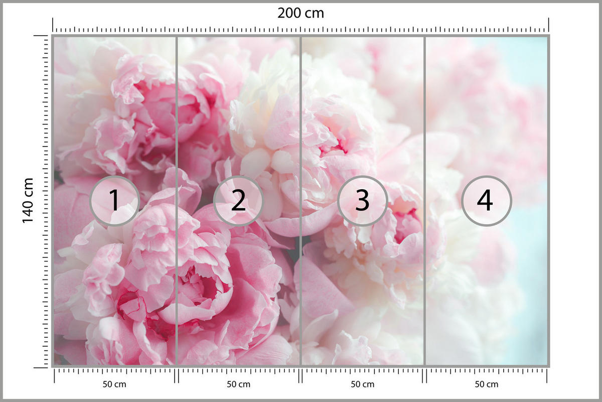 FOTOTAPETE Blumen Pfingstrosen Natur 3D 200x140 - Blau/Rosa, Papier (200/140cm) - Muralo
