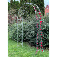 ROSENBOGEN Metall Verzinkt Massiv 135 cm Torbogen - Silberfarben, Metall (120/240/32cm) - DanDiBo