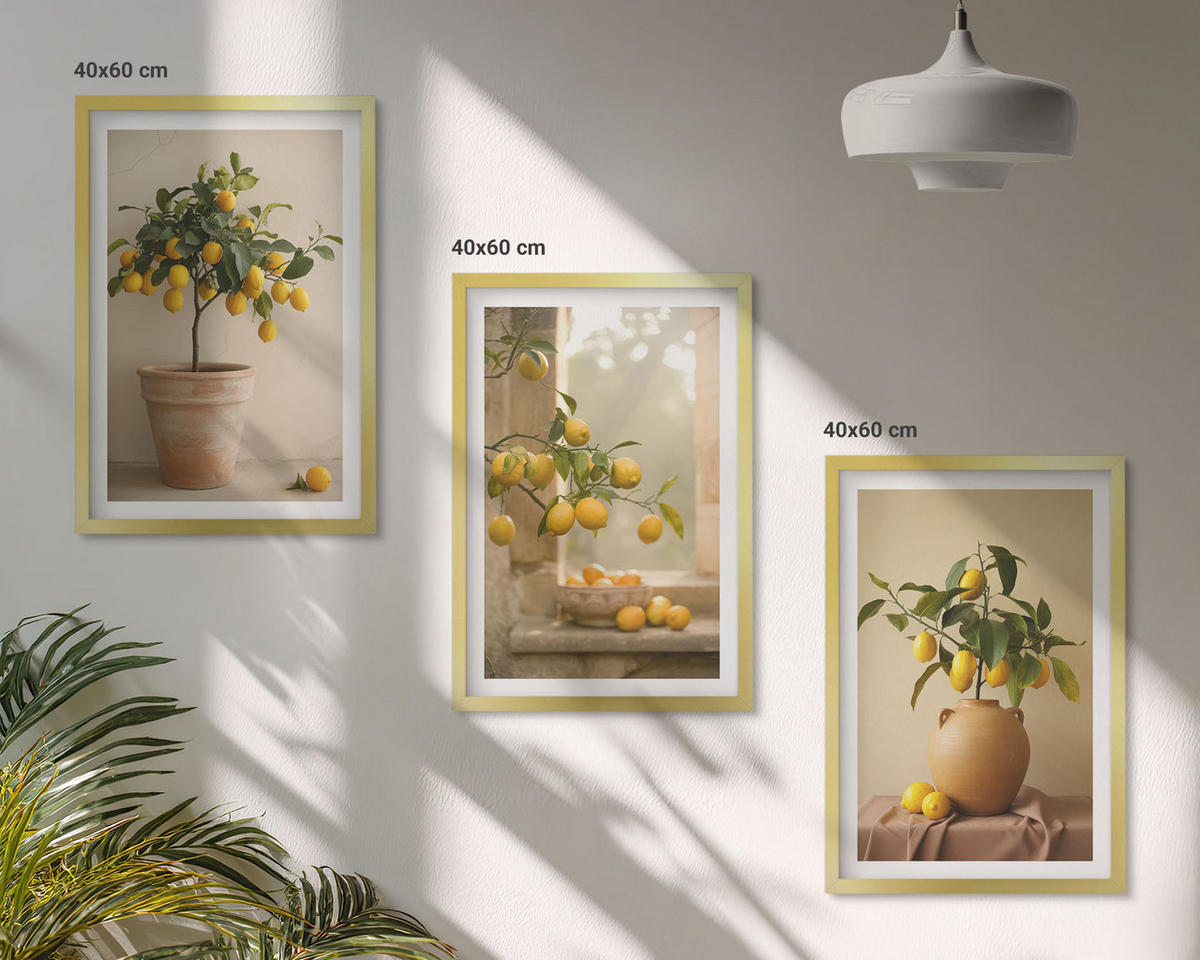 WANDBILDER 3er Set - 40x60 cm Goldrahmen - Zitronenbäume im Topf - Goldfarben, Kunststoff (40/60cm) - ArtPrintCave
