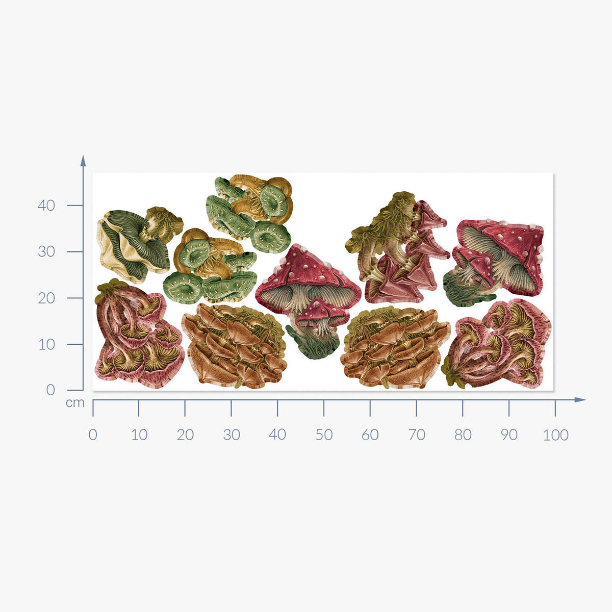 WANDAUFKLEBER 100x48cm - Pilzwiese - Multicolor, Kunststoff (100/48/0.1cm) - Wallfluent