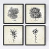 POSTER Set mit 4 Blättern der Baumstämme Jahrgang Hintergrund 20x20cm Schwarzer Rahmen - Schwarz, Papier (20/3cm) - Nacnic