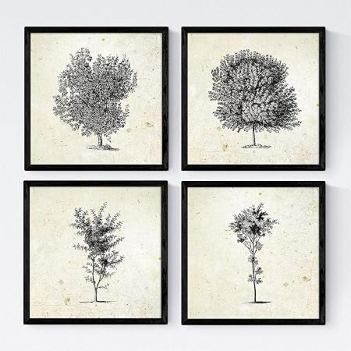 POSTER Set mit 4 Blättern der Baumstämme Jahrgang Hintergrund 20x20cm Schwarzer Rahmen - Schwarz, Papier (20/3cm) - Nacnic