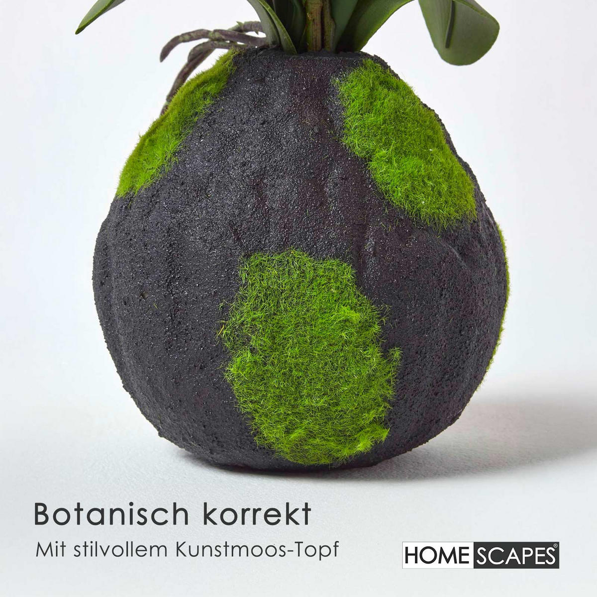 KUNSTBLUME Orchidee pink-apricot mit Moos-Sockel, 60 cm - Pink, Kunststoff (60cm) - Homescapes