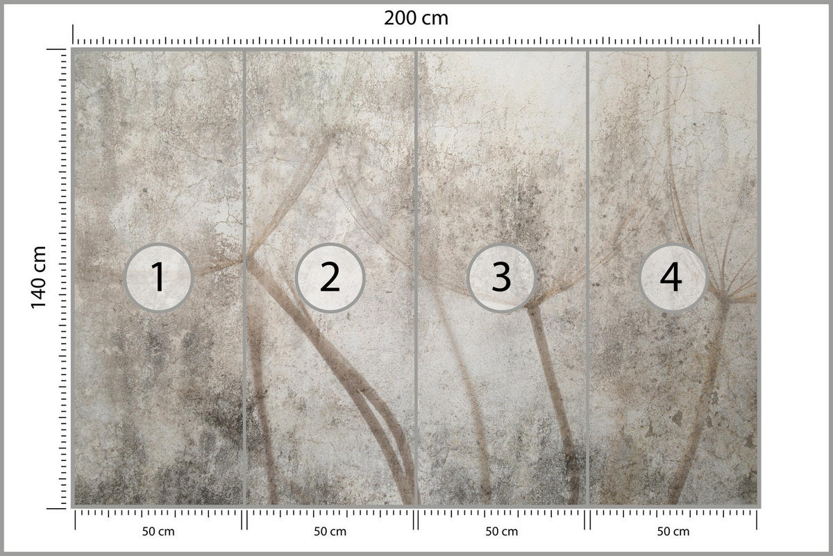 FOTOTAPETA Pre Obývaciu Izbu Jemná Skica Púpava Sivý Betón Minimalistická 200 x 140 cm - hnedá/sivá, papier (200/140cm) - Muralo