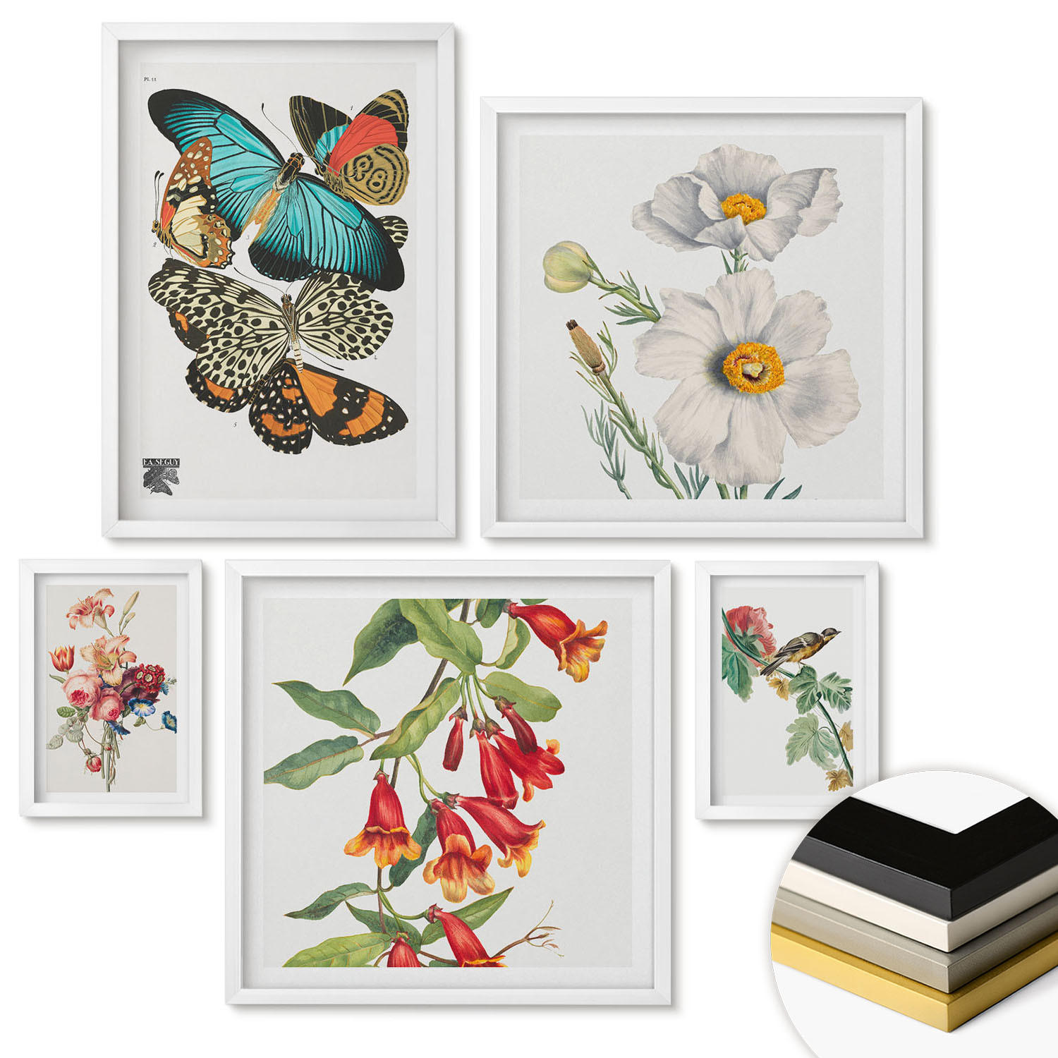 WANDBILDER 5er-Set - 50x50 cm & 20x30 cm & 40x60 cm Weißer Rahmen - Blumen, Schmetterlinge, Vögel, Pastellfarben - Weiß, Kunststoff (40/60cm) - ArtPrintCave
