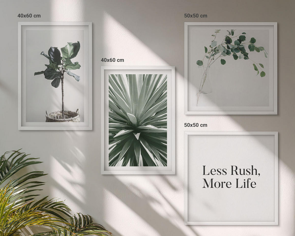 WANDBILDER 4er-Set - 50x50 cm & 40x60 cm Weißer Rahmen - Minimalismus mit grünen Pflanzen - Weiß, Kunststoff (50/50cm) - ArtPrintCave