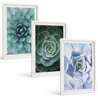 BILDER SET 3er Set - 40x60 cm Weißer Rahmen - Sukkulente Pflanzen grün türkis - Weiß, Kunststoff (40/60cm) - TULUP