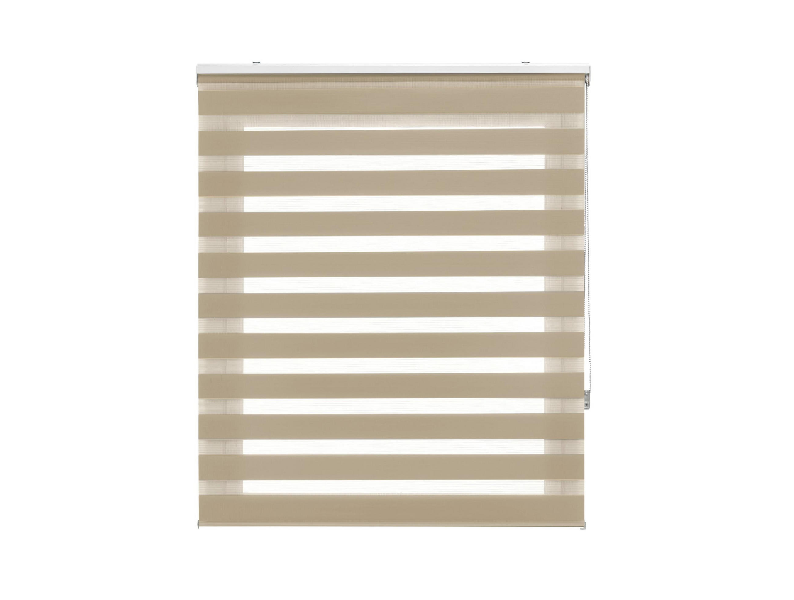 ROLLO Polyester Transluzent Braun 100x250 - Braun, Textil (100/250/1cm) - Purline