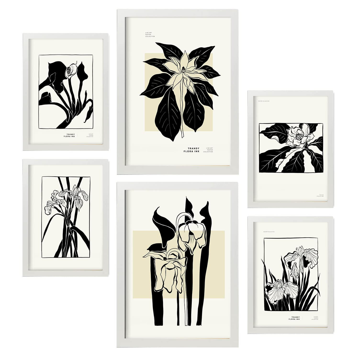 POSTER Set Mit 6 In Schwarzer Tinte Exotisch A3 & A4 Weißer Rahmen - Weiß, Papier (29/3cm) - Nacnic