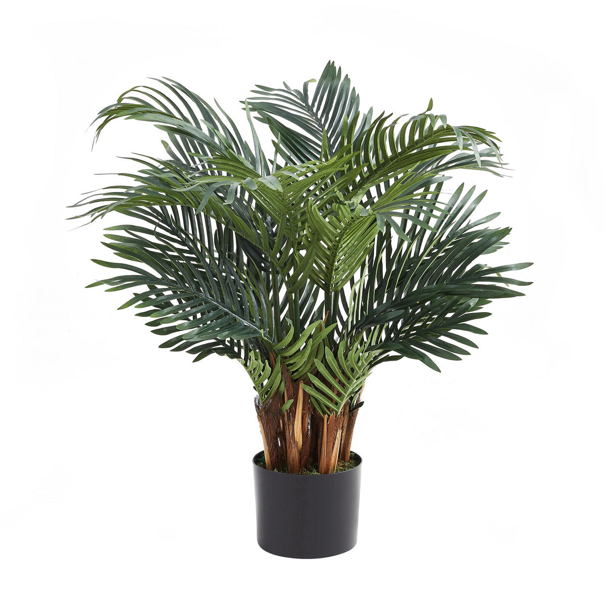 KUNSTPFLANZE Künstlicher Palmfarn – Alamea 75 cm - Grün, Kunststoff (75cm) - aplanta
