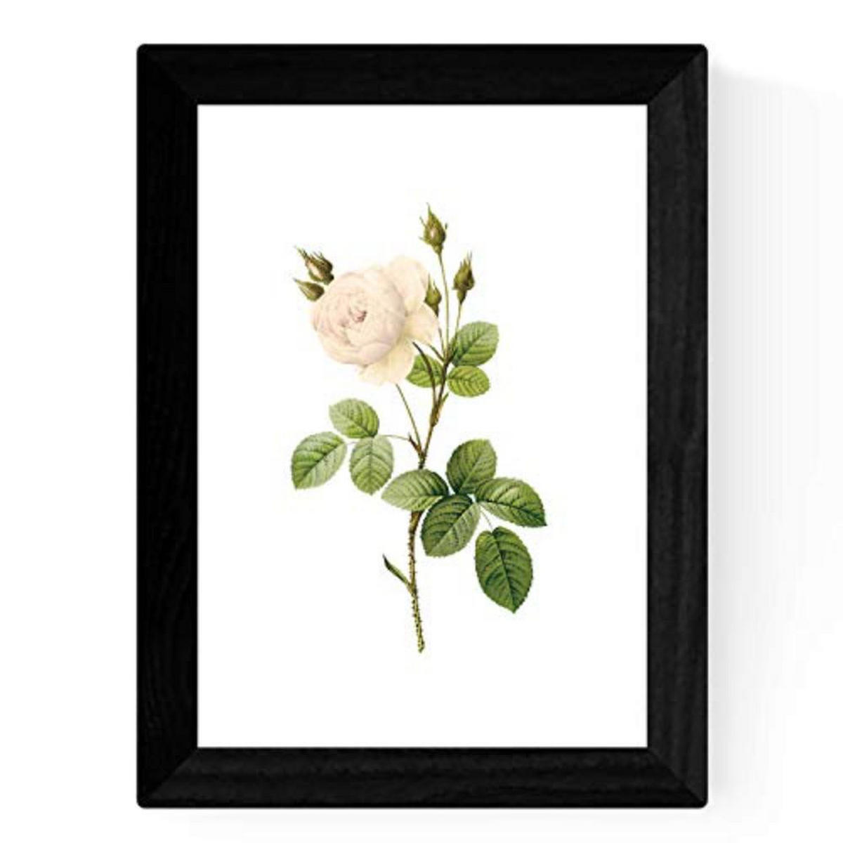 POSTER Set mit 4 Botanische Weiß Hintergrund helle Blumen A3 Rahmenlos - Klar, Papier (29.7/3cm) - Nacnic