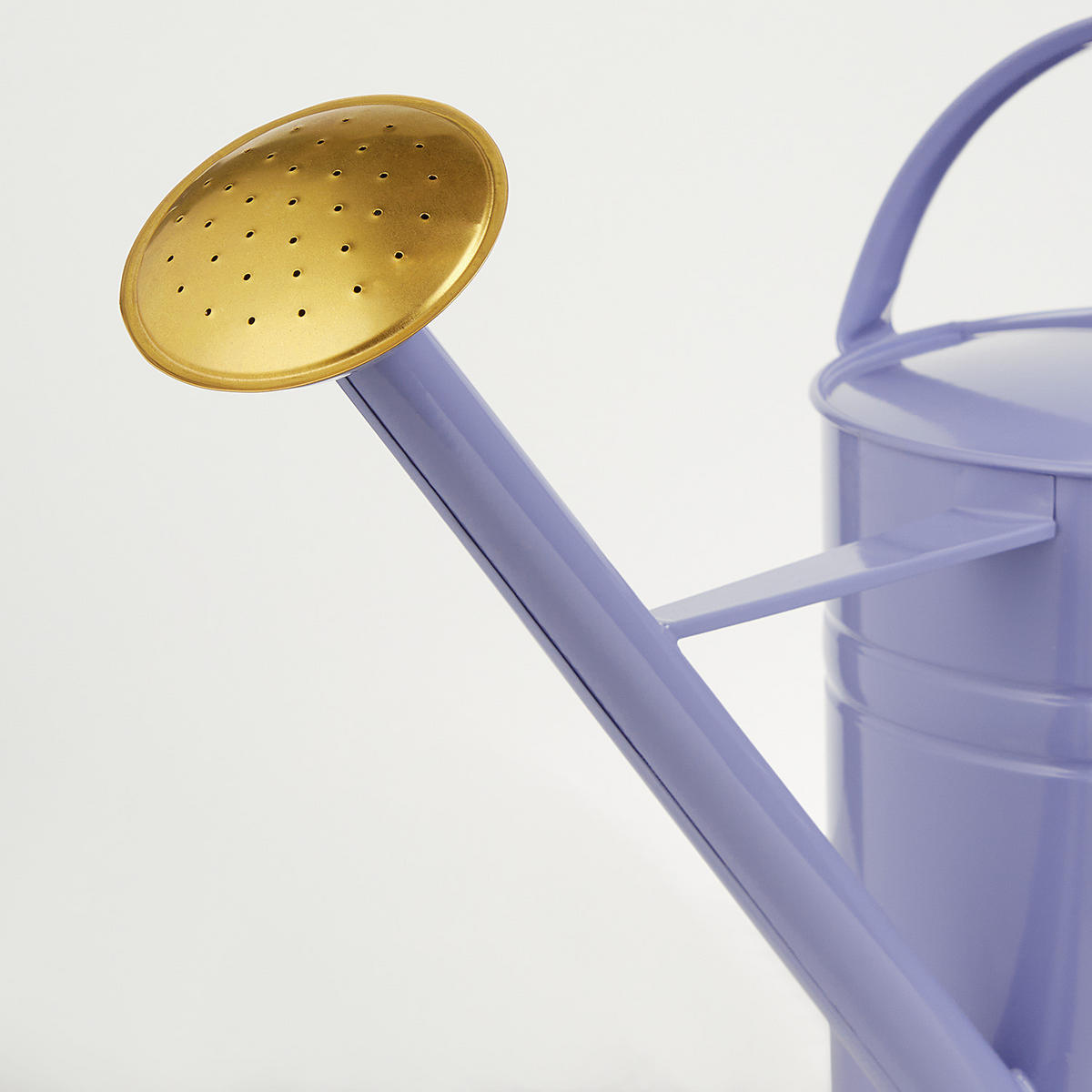 GIESSKANNE Zinc 8L - Violett, Metall (23/35/65cm) - Butlers