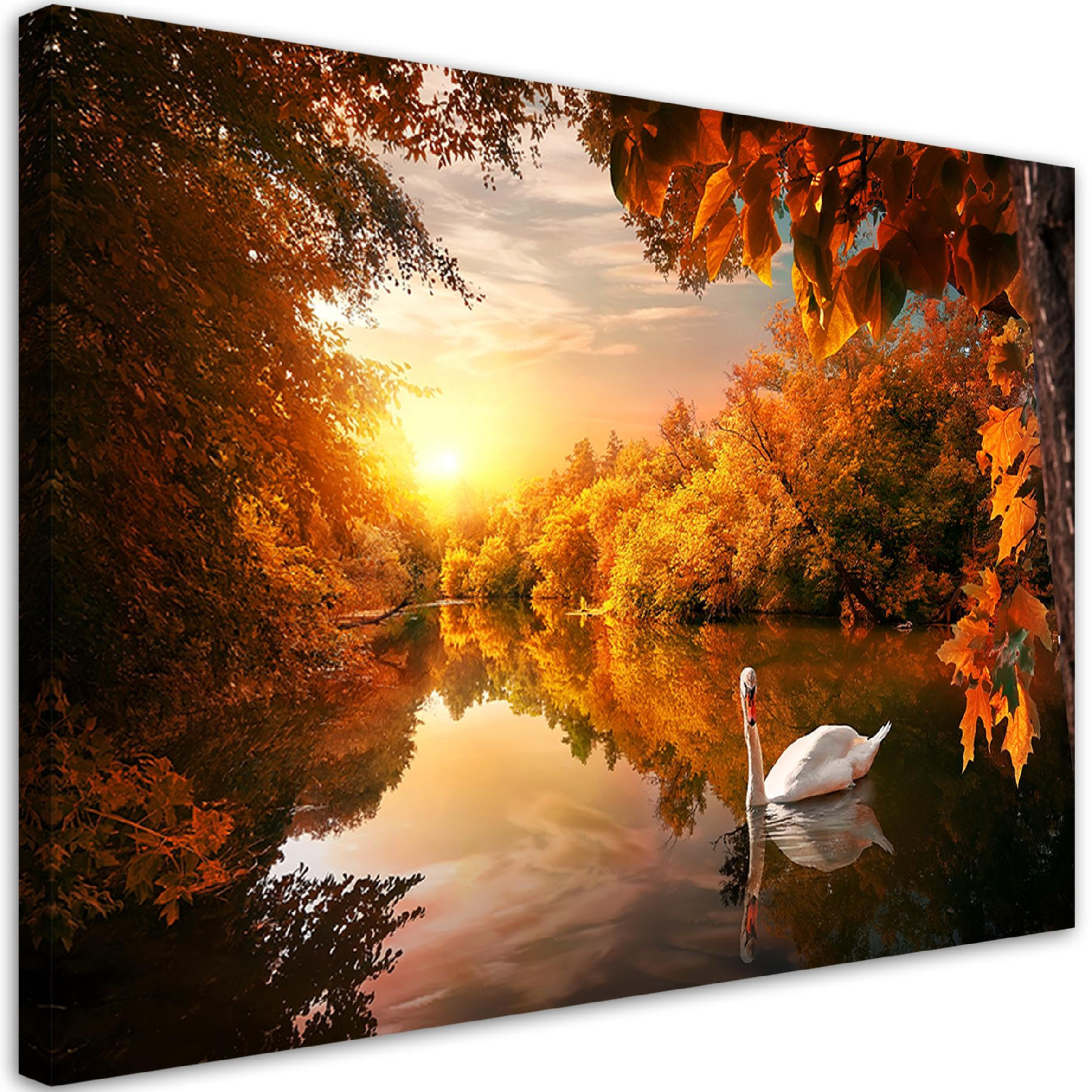 WANDBILD schwan auf dem teichherbst - Orange, Textil (60/40cm) - Feeby