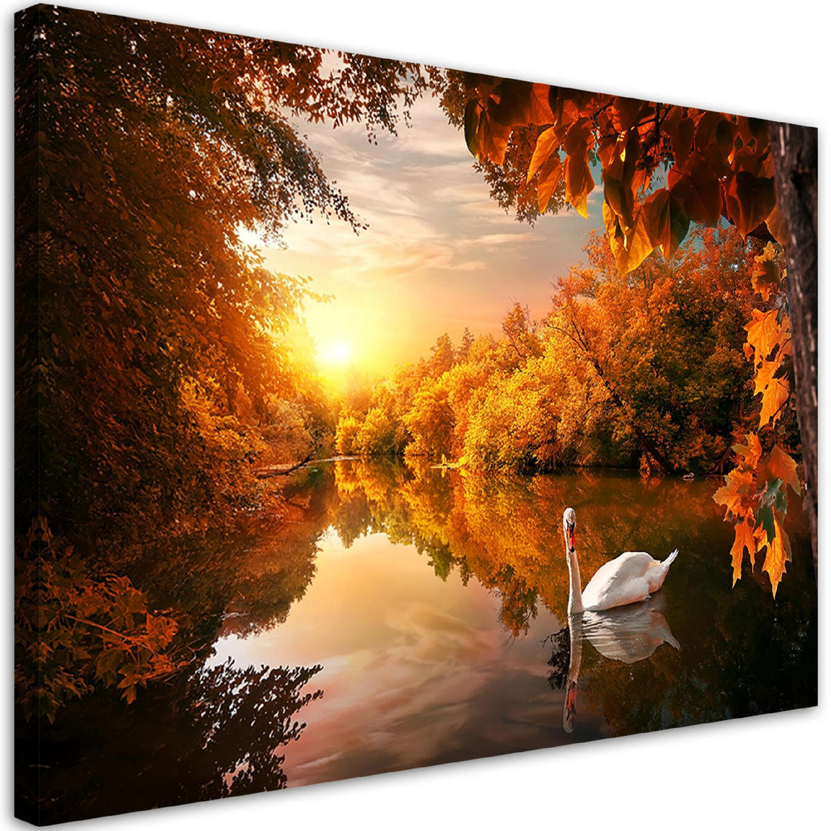 WANDBILD schwan auf dem teichherbst - Orange, Textil (60/40cm) - Feeby