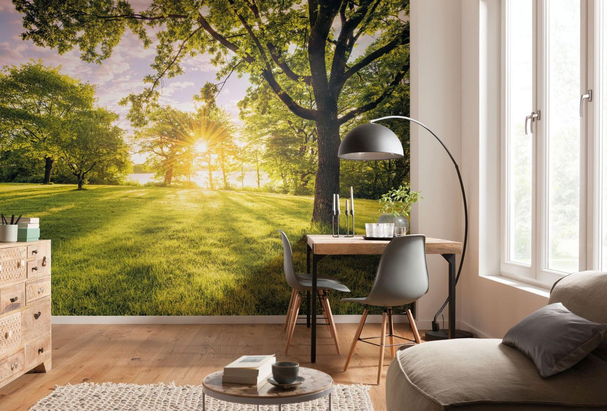 FOTOTAPETE Golden Moment 400 x 250 cm - Grün, Papier (400/250cm) - Sanders & Sanders