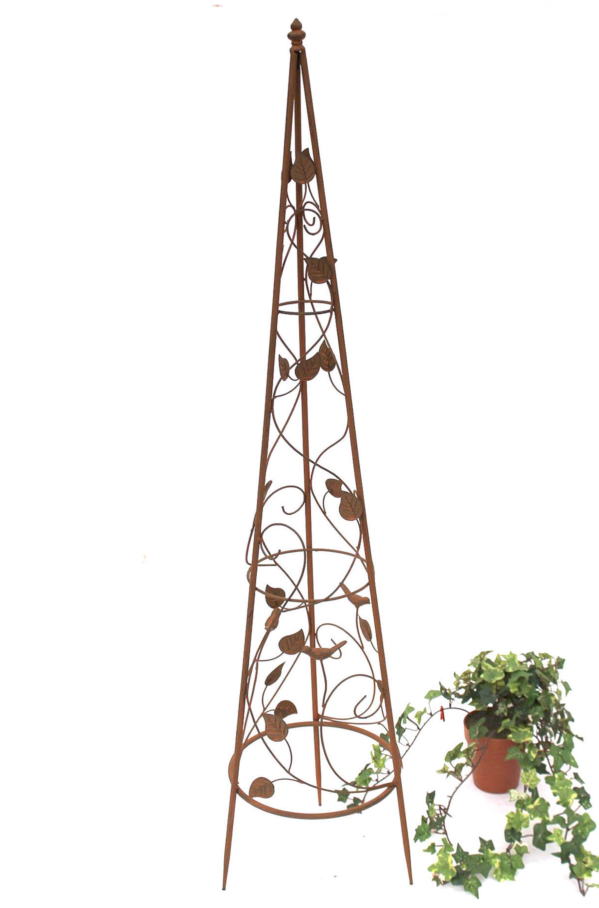 RANKHILFE Pyramide 082547 M aus Metall 118 cm - Braun, Metall (24/118/24cm) - DanDiBo