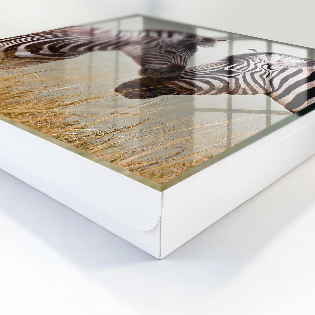 SCHLÜSSELBOX Weiß 30x30 cm – Türöffnung nach rechts - Zebras zusammen - Multicolor, Metall (30/30/5cm) - TULUP