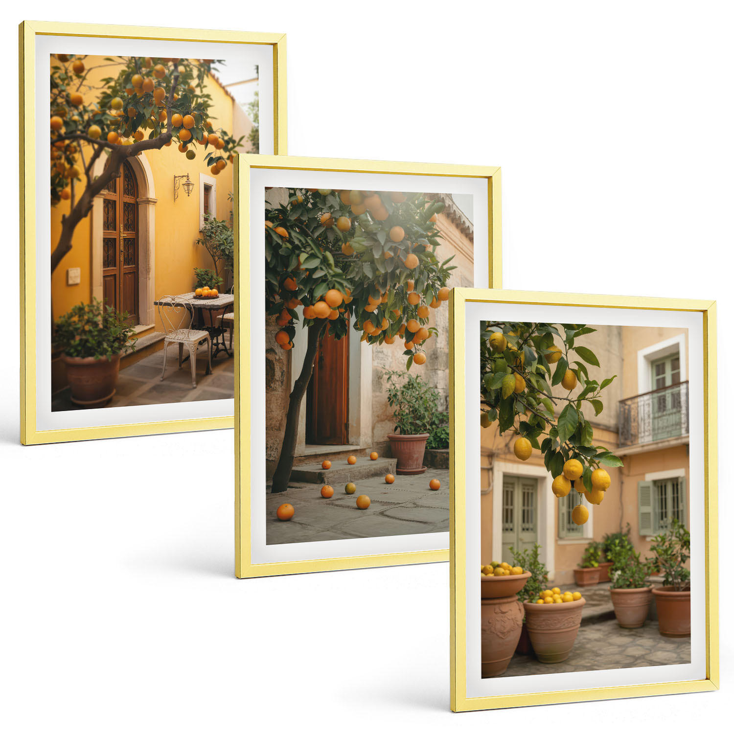 BILDER SET 3er Set - 40x60 cm Goldrahmen - Garten-Zitrus-Sonne - Goldfarben, Kunststoff (40/60cm) - TULUP