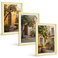 BILDER SET 3er Set - 40x60 cm Goldrahmen - Garten-Zitrus-Sonne - Goldfarben, Kunststoff (40/60cm) - TULUP