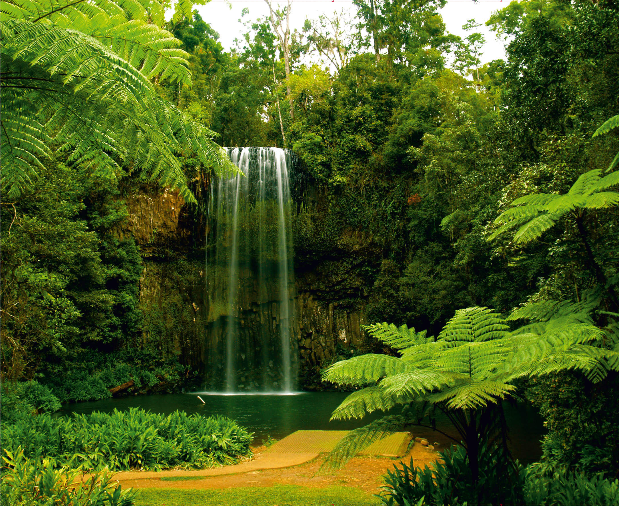 FOTOTAPETE Wasserfall 375 x 270 cm - Grün, Papier (375/270cm) - Sanders & Sanders