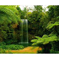 FOTOTAPETE Wasserfall 375 x 270 cm - Grün, Papier (375/270cm) - Sanders & Sanders