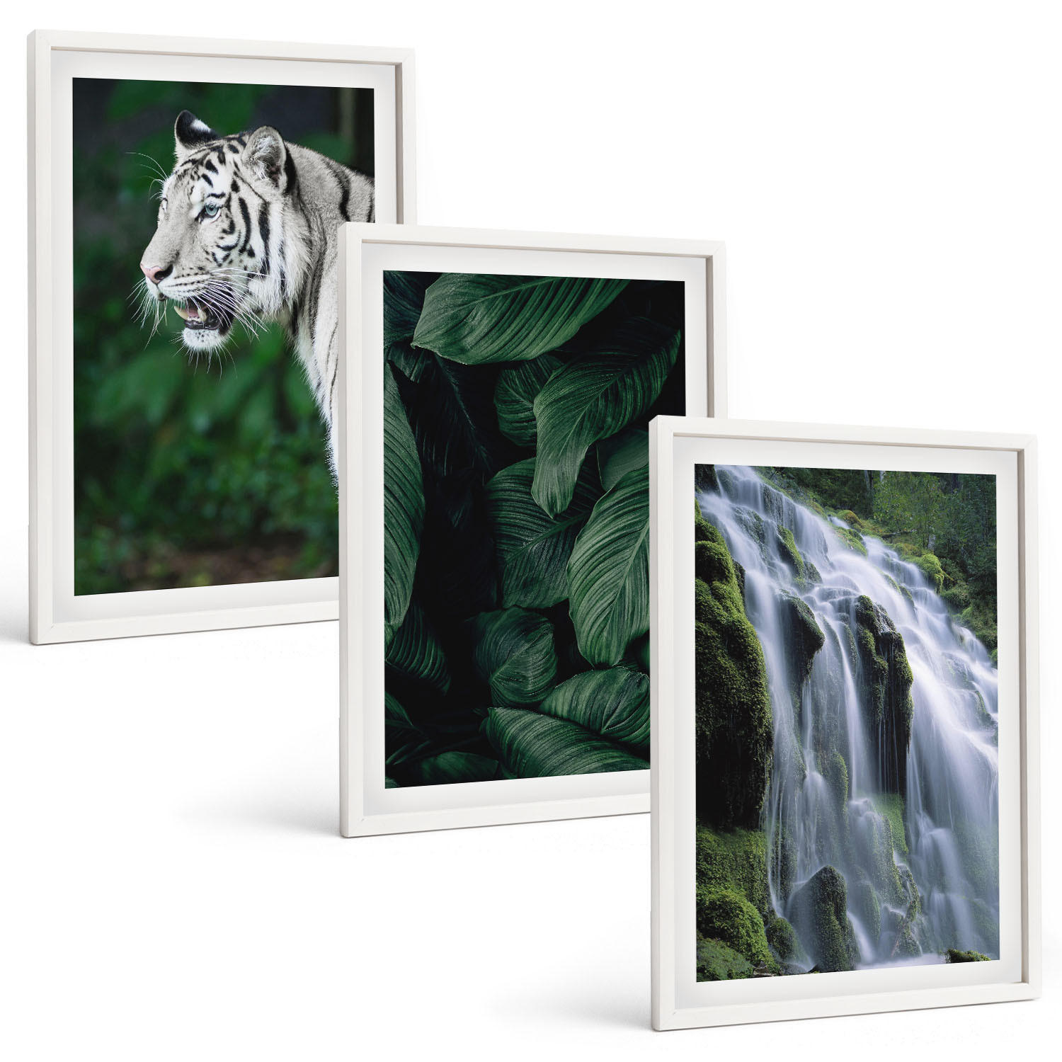 BILDER SET 3er Set - 40x60 cm Weißer Rahmen - Wasserfall aus weißen Tigerblättern - Weiß, Kunststoff (40/60cm) - TULUP