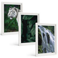 BILDER SET 3er Set - 40x60 cm Weißer Rahmen - Wasserfall aus weißen Tigerblättern - Weiß, Kunststoff (40/60cm) - TULUP